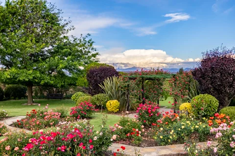 Property & Gardens | Botleng Guest House